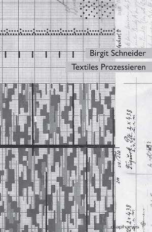 Textiles Prozessieren de Birgit Schneider