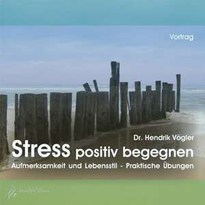 Stress positiv begegnen de Hendrik Vögler