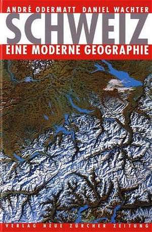 Schweiz - eine moderne Geographie de André Odermatt