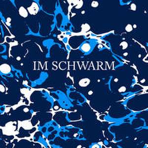 Im Schwarm de Michael Fehr