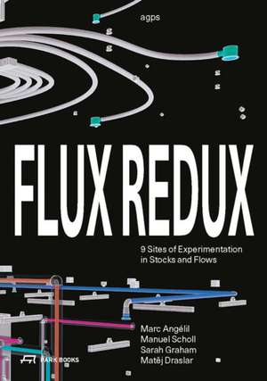 Flux Redux: 9 Sites of Experimentation in Stocks and Flows de Marc Angélil