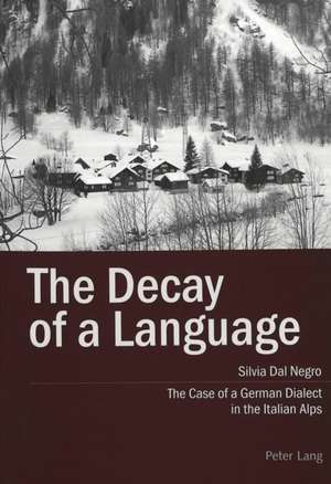 The Decay of a Language de Silvia Dal Negro