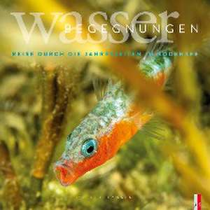 Wasser Begegnungen de Robert Hansen