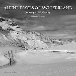 Alpine Passes of Switzerland: Journey to Modernity de Richard von Tscharner