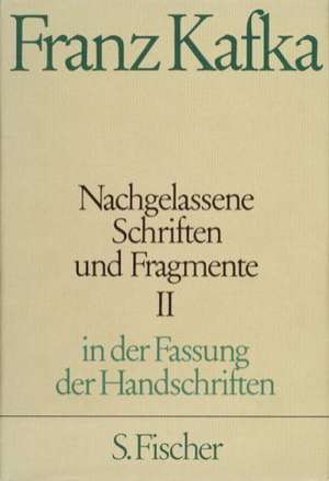 Nachgelassene Schriften und Fragmente II de Jost Schillemeit