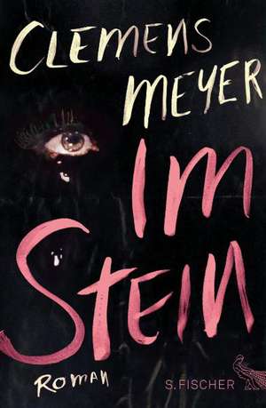 Im Stein de Clemens Meyer