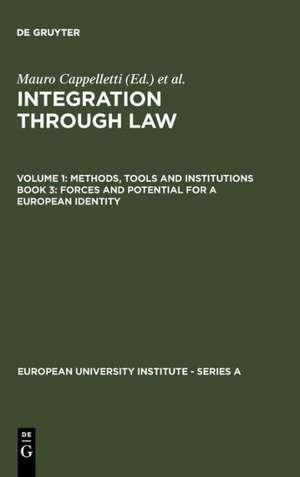 Forces and Potential for a European Identity de Mauro Cappelletti