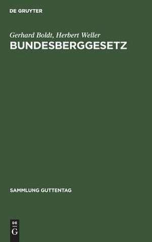 Bundesberggesetz: vom 13. August 1980 unter Berücksichtigung des Änderungsgesetzes vom 12. Februar 1990 und der vorhergegangenen Gesetzesänderungen sowie die das Bergrecht betreffenden Bestimmungen des Einigungsvertrages vom 31. August 1990. Ergänzungsband zum Kommentar... de Gerhard Boldt