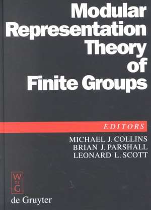 Modular Representation Theory of Finite Groups: Proceedings of a Symposium held at the University of Virginia, Charlottesville, May 8-15, 1998 de Michael J. Collins