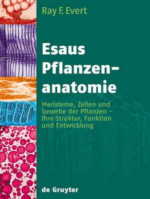 Esaus Pflanzenanatomie: Meristeme, Zellen und Gewebe der Pflanzen - ihre Struktur, Funktion und Entwicklung de Ray F. Evert