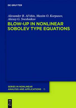 Blow-up in Nonlinear Sobolev Type Equations de Alexander B. Al'shin