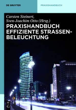 Praxishandbuch effiziente Straßenbeleuchtung de Carsten Steinert