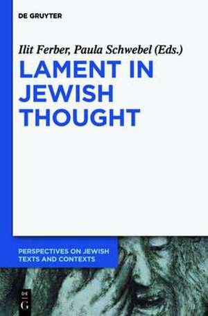 Lament in Jewish Thought: Philosophical, Theological, and Literary Perspectives de Ilit Ferber