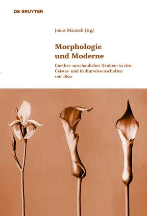 Morphologie und Moderne: Goethes ›anschauliches Denken‹ in den Geistes- und Kulturwissenschaften seit 1800 de Jonas Maatsch