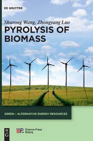 Pyrolysis of Biomass de Shurong Wang