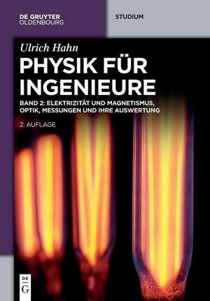 Elektrizität und Magnetismus, Optik, Messungen und ihre Auswertung de Ulrich Hahn