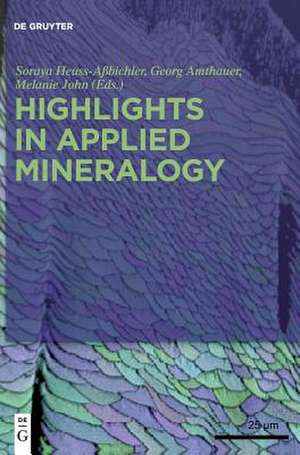 Highlights in Applied Mineralogy de Heuss-Abichler, Soraya