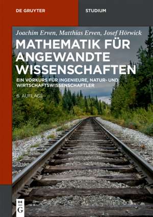 Vorkurs Mathematik: Ein kompakter Leitfaden de Joachim Erven