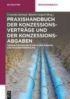 Praxishandbuch der Konzessionsverträge und der Konzessionsabgaben de Cornelia Kermel