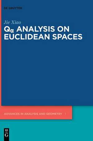 Q¿ Analysis on Euclidean Spaces de Jie Xiao