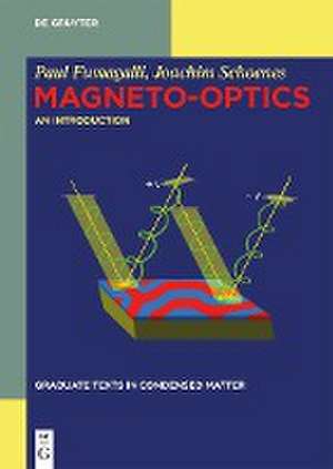 Magneto-optics de Paul Fumagalli