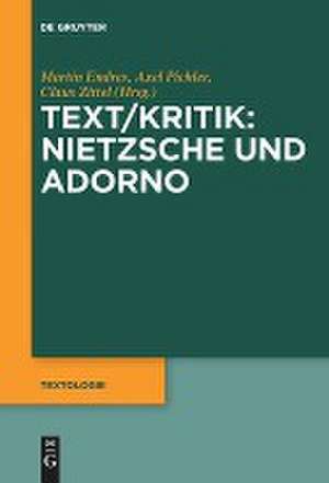 Text/Kritik: Nietzsche und Adorno de Martin Endres