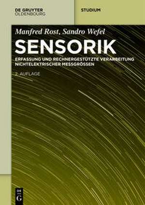 Sensorik de Manfred Rost