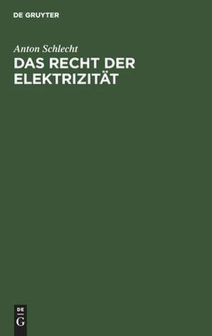 Das Recht der Elektrizität de Anton Schlecht