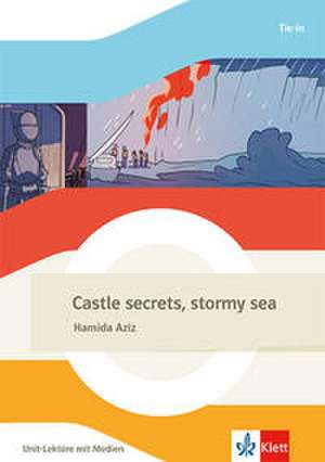 Castle secrets, stormy sea de Hamida Aziz