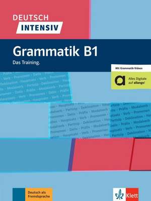 Deutsch intensiv Grammatik B1. Buch + online de Magdalena Ptak