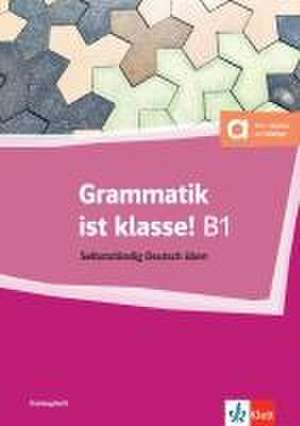 Grammatik ist klasse! B1 de Arwen Dammann