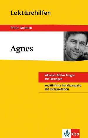 Lektürehilfen Peter Stamm "Agnes"