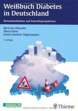 Weißbuch Diabetes in Deutschland de Bertram Häussler