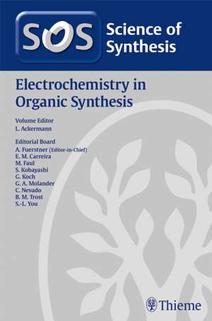 Electrochemistry in Organic Synthesis de L Ackermann