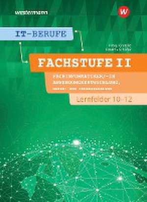 IT-Berufe. Fachstufe II Fachinformatiker/-in Anwendungsentwicklung, Fachinformatiker/-in Lernfelder 10-12. Schulbuch de Ingo Patett