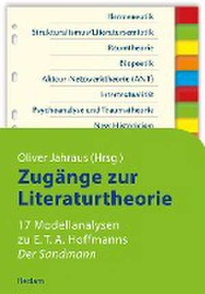 Zugänge zur Literaturtheorie. 17 Modellanalysen zu E.T.A. Hoffmanns »Der Sandmann« de Oliver Jahraus