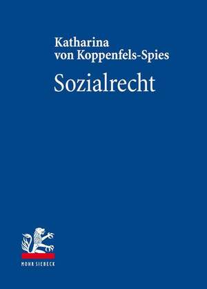 Sozialrecht de Katharina von Koppenfels-Spies