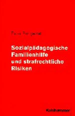 Sozialpädagogische Familienhilfe und strafrechtliche Risiken de Peter Bringewat