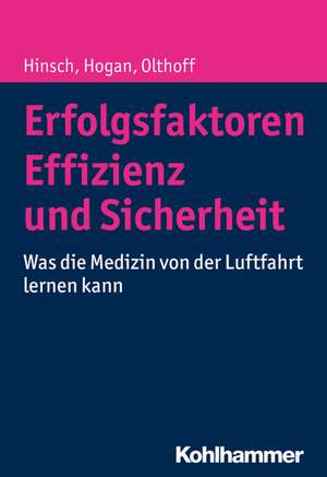 Erfolgsfaktoren Effizienz und Sicherheit de Martin Hinsch