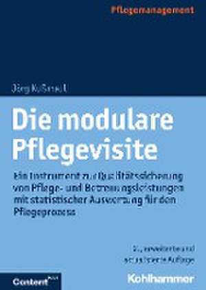 Die modulare Pflegevisite de Jörg Kußmaul