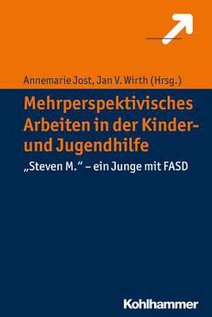 Mehrperspektivisches Arbeiten in der Kinder- und Jugendhilfe de Annemarie Jost