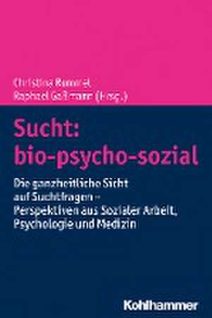 Sucht: bio-psycho-sozial de Raphael Gaßmann