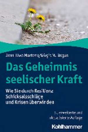 Das Geheimnis seelischer Kraft de Jens-Uwe Martens