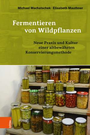 Fermentieren von Wildpflanzen de Michael Machatschek