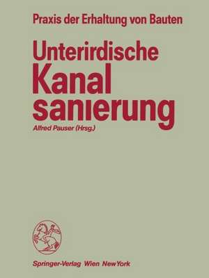 Unterirdische Kanalsanierung de Alfred Pauser