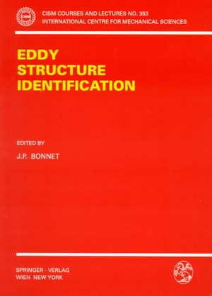 Eddy Structure Identification de J.P. Bonnet