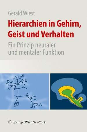 Hierarchien in Gehirn, Geist und Verhalten: Ein Prinzip neuraler und mentaler Funktion de Gerald Wiest