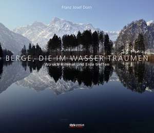 Berge, die im Wasser träumen de Franz Josef Dorn