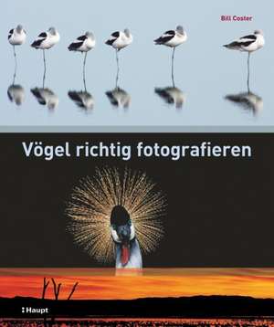 Vögel richtig fotografieren de Bill Coster