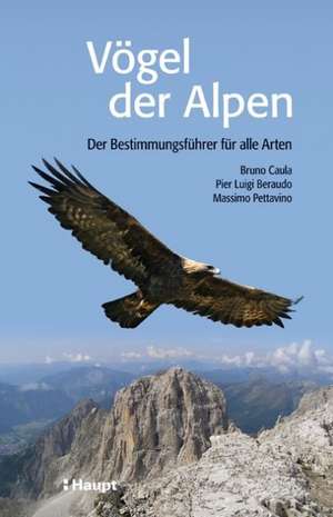 Vögel der Alpen de Bruno Caula